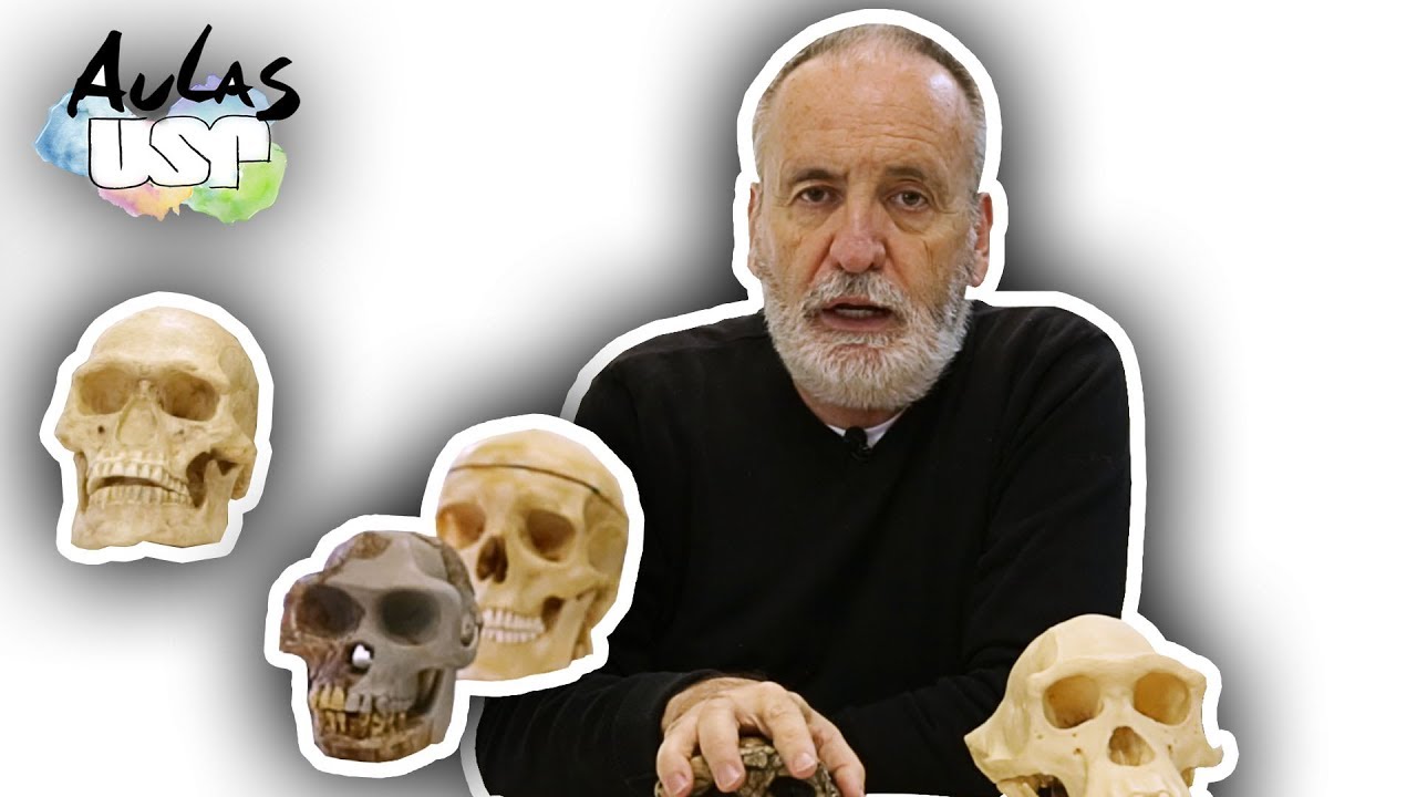 A Saga da Humanidade -- Aula 3  (Evolução em mosaico)