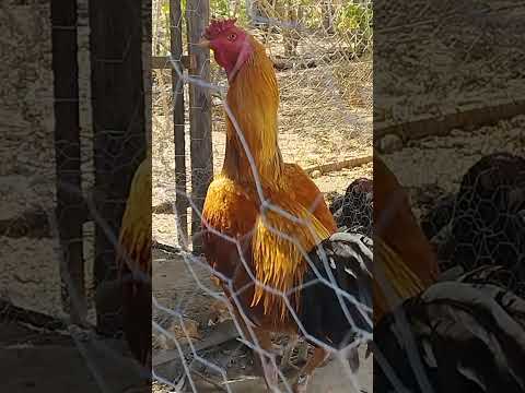 um novo estilo de vida cidade de janauba Minas gerais