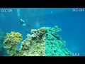 2 Minute Run-down of the Paralenz Dive Camera