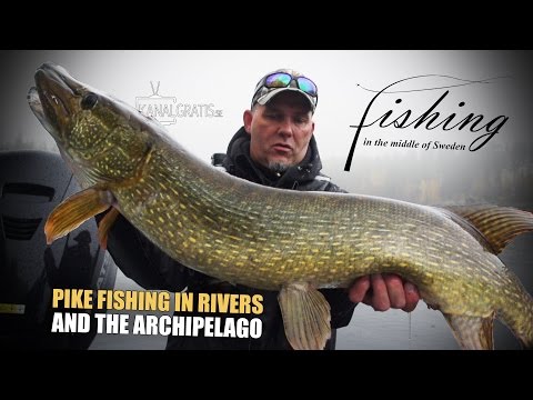 download lagu mp3 mp4 Pike Fishing Sweden, download mp3 Pike Fishing Sweden free download mp3, download mp3 Pike Fishing Sweden