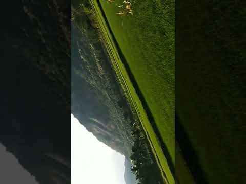 செந்தாழம் பூவை#கொண்டு /இளையராஜா# ஐயா பாடல் #like 👍 சப்ஸ்கிரைப்# shorts#