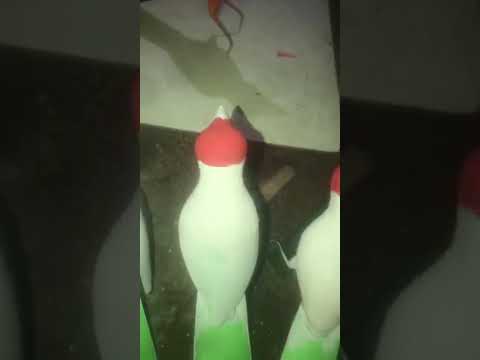 mais um trabalho do nosso artista JB artes em amanaiara Reriutaba Ceará