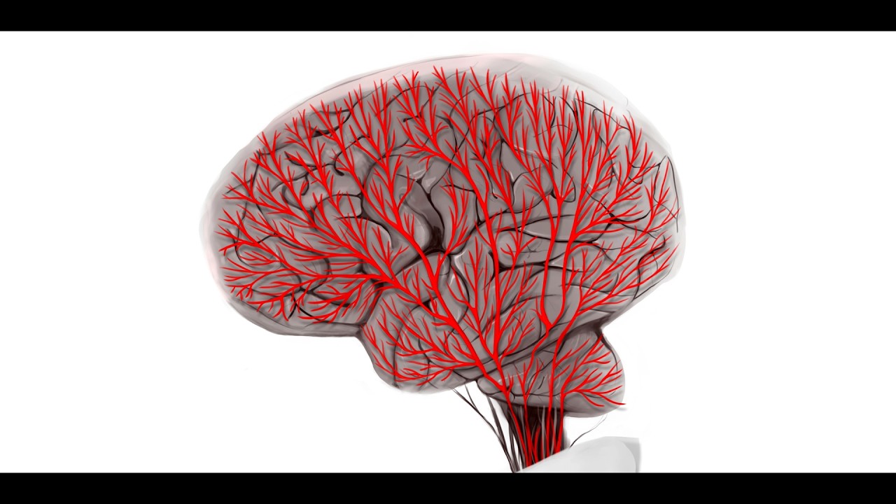 無能 /重音テト