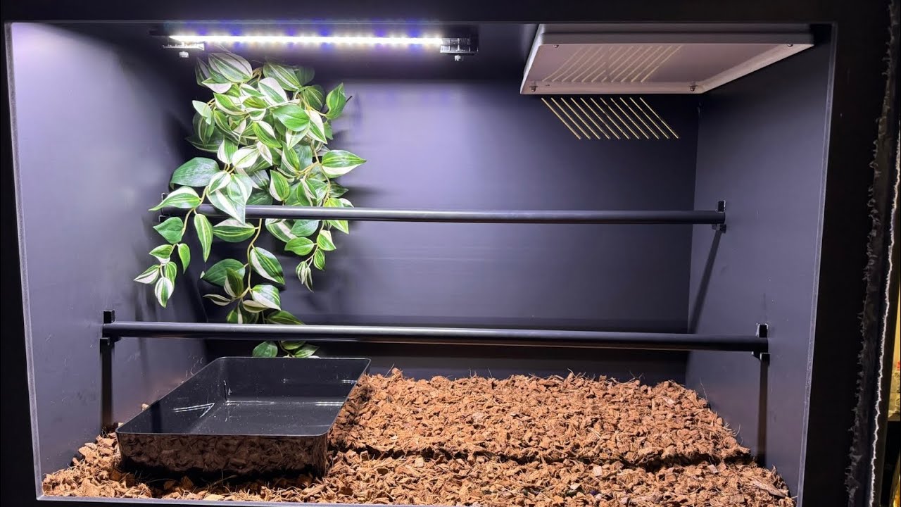 Green tree python enclosure (PVC enclosures )