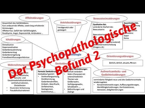 Heilpraktiker für Psychotherapie _ Der Psychopathologische Befund 2