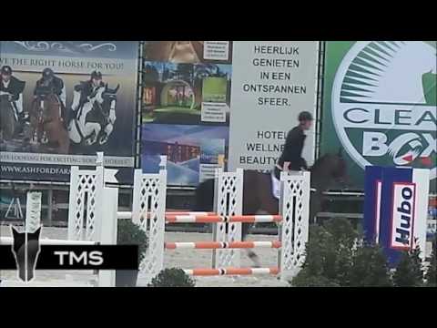 Luigi d'Eclipse, 5y old