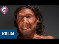 Neanderthaler Krijn krijgt na 50.000 jaar een gezicht - OMROEP WEST