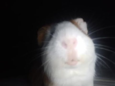 Ultrablox - All Secrets