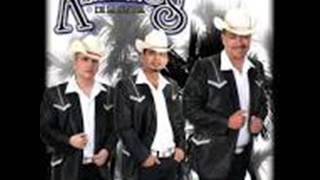 vino maldito los alameños de la sierra