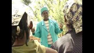 "The Big Push" - making pregnancy safer - SafeHands for Mothers