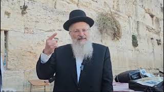 כולנו בניה של רחל | הרב שמואל אליהו | הלכה יומית | י"א חשוון תשפ"ה (הרב שמואל אליהו) - התמונה מוצגת ישירות מתוך אתר האינטרנט יוטיוב. זכויות היוצרים בתמונה שייכות ליוצרה. קישור קרדיט למקור התוכן נמצא בתוך דף הסרטון