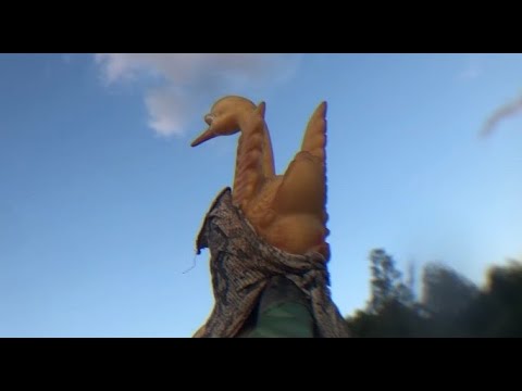 Play Video Youtube Video