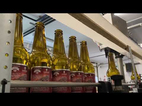 Polish West Coast IPA - produkcja, rozlew, etykietowanie, kapslowanie zwycięskiego piwa PiwoWarzone4