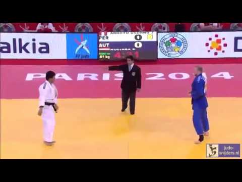Judo 2014 Grand Slam Paris: Arroyo Osorno (PER) - Kuciara (AUT) [-81kg]