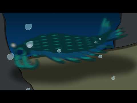 At The Very Beginning