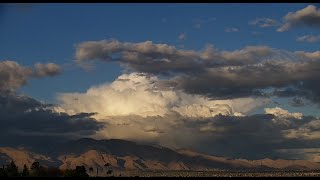 Tucson, AZ LIVE Webcam