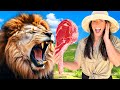 I Became a Zookeeper in a REAL Zoo!
