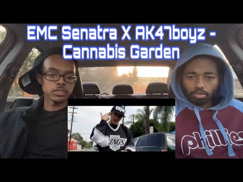 EMC Senatra x ak47boyz - Cannabis Garden *2k Subs Giveaway* | Shadow Views TV reaction
