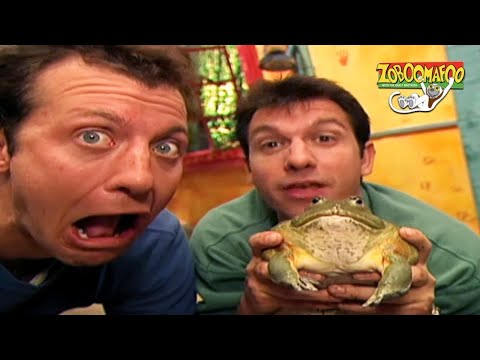 🐒 Zoboomafoo with the Kratt Brothers! SLIMY BUDDIES | HD | Full Episode