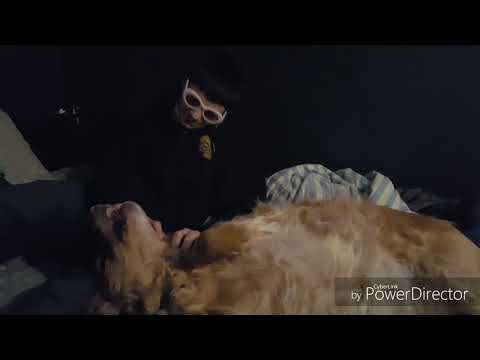 YoUnG ColOny bOi (ft. Lil Cardiac arrest, Lil Hiv, and Lil Allzimers