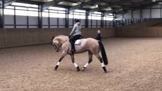 My Journey with Dave