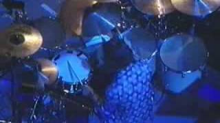 The Gathering (NIGHTTIME BIRDS)