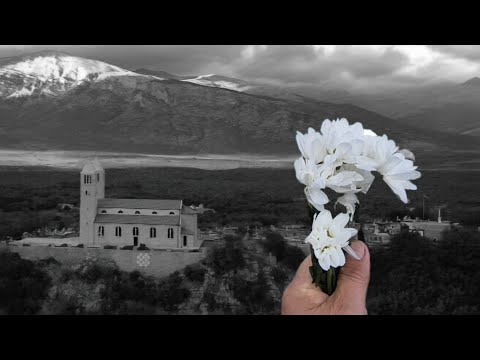 BILI CVITAK SLOBODE-KIJEVO