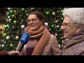 De Wensboom
