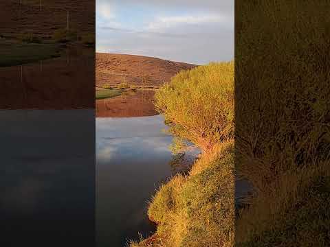 río Mayo Chubut Argentina