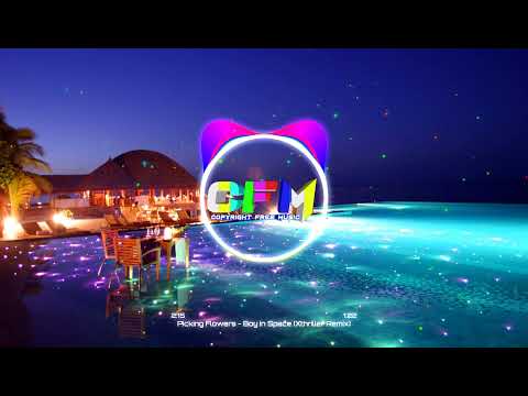 𝐏𝐢𝐜𝐤𝐢𝐧𝐠 𝐅𝐥𝐨𝐰𝐞𝐫𝐬 - 𝐁𝐨𝐲 𝐈𝐧 𝐒𝐩𝐚𝐜𝐞 (𝐗𝐭𝐡𝐫𝐢𝐥𝐥𝐞𝐫 𝐑𝐞𝐦𝐢𝐱)