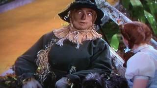 The Little Fox On The Run - trailer