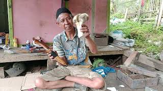 Download lagu TESTING THE SLAUGHTER MECHANISM BY RUBBERING IT AGAINST COW BONE mp3