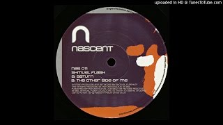 Shmuel Flash - The Other Side Of Me