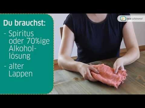 Schimmel an Wand entfernen - worauf sollte man achten?