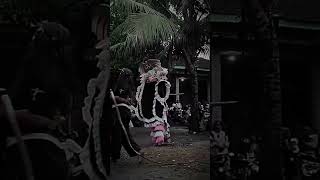 Download lagu jj barongan devil #barongan devil pink ngamuk mp3