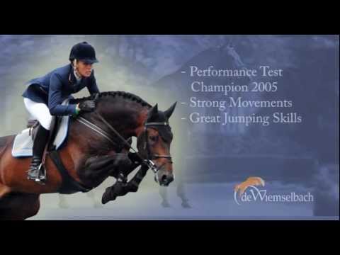 Van Gogh - De Wiemselbach - ENG 2012