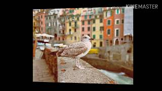 Download lagu Dang Boi Tarlupahon Au / VOC:putri siagian mp3 Download lagu Dang Boi Tarlupahon Au / VOC:putri siagian mp3