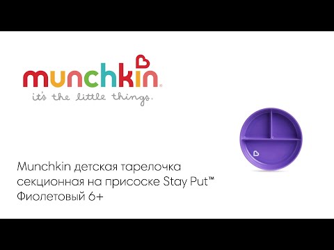 Munchkin тарелка детская на присоске секционная Stay Put™с 6 мес., фиолетовый