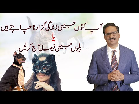 Live Like Cats | Javed Chaudhary | SX1U