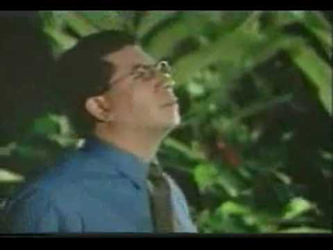 Sangre Morena - Trampa (Video Official)