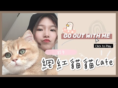 【探店VLOG】貓奴天堂❤️打卡悉尼網紅貓咖🐱 (中字)｜Visiting Cat Cafe in Sydney❤️｜LOKO Couple 吃喝玩樂 🇦🇺