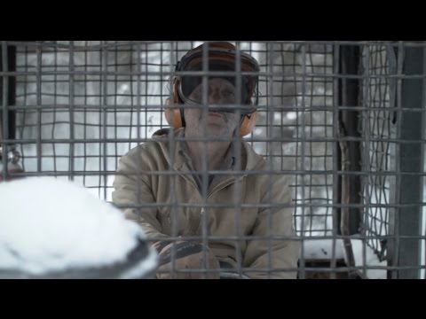 afbeelding Bob and the Trees