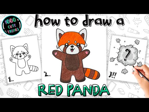 HOW to DRAW a RED PANDA (step by step).