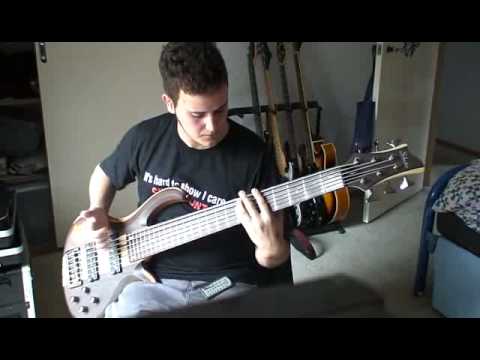 Shake Hands With Beef by Primus (bass cover)