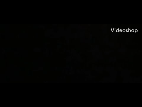 Sigma Copypasta