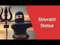 Happy Shivratri WhatsApp Status Maha Mratunjay Mantra Status