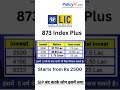 LIC Index Plus 873 Lic