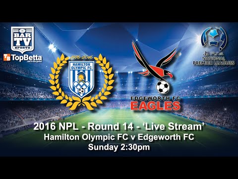 2016 NNSWF NPL Round 14 Feature Match - Hamilton Olympic FC v Edgeworth FC