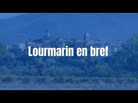 Video vignette