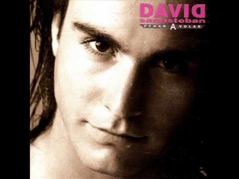 DAVID SANTISTEBAN - Echar a volar